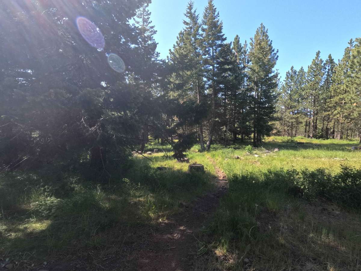 Fence Line - Trail 317 photo 5