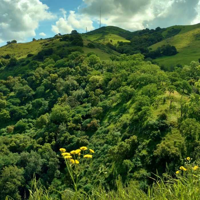 Near Hidden Springs Trail