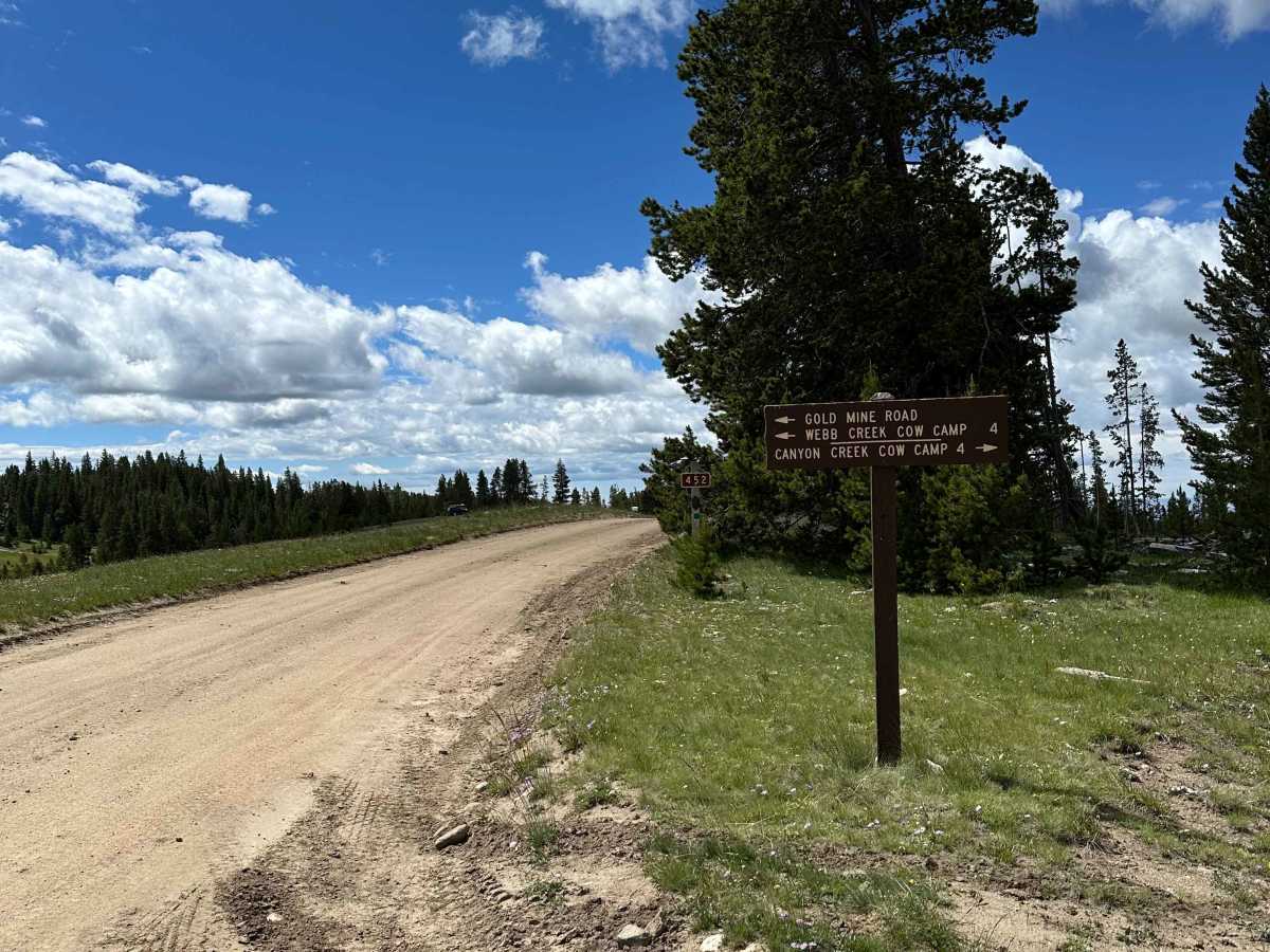 Gold Mine Road trail photo