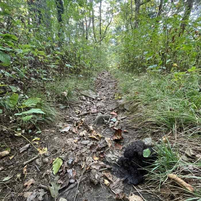 Near Coosa Backcountry