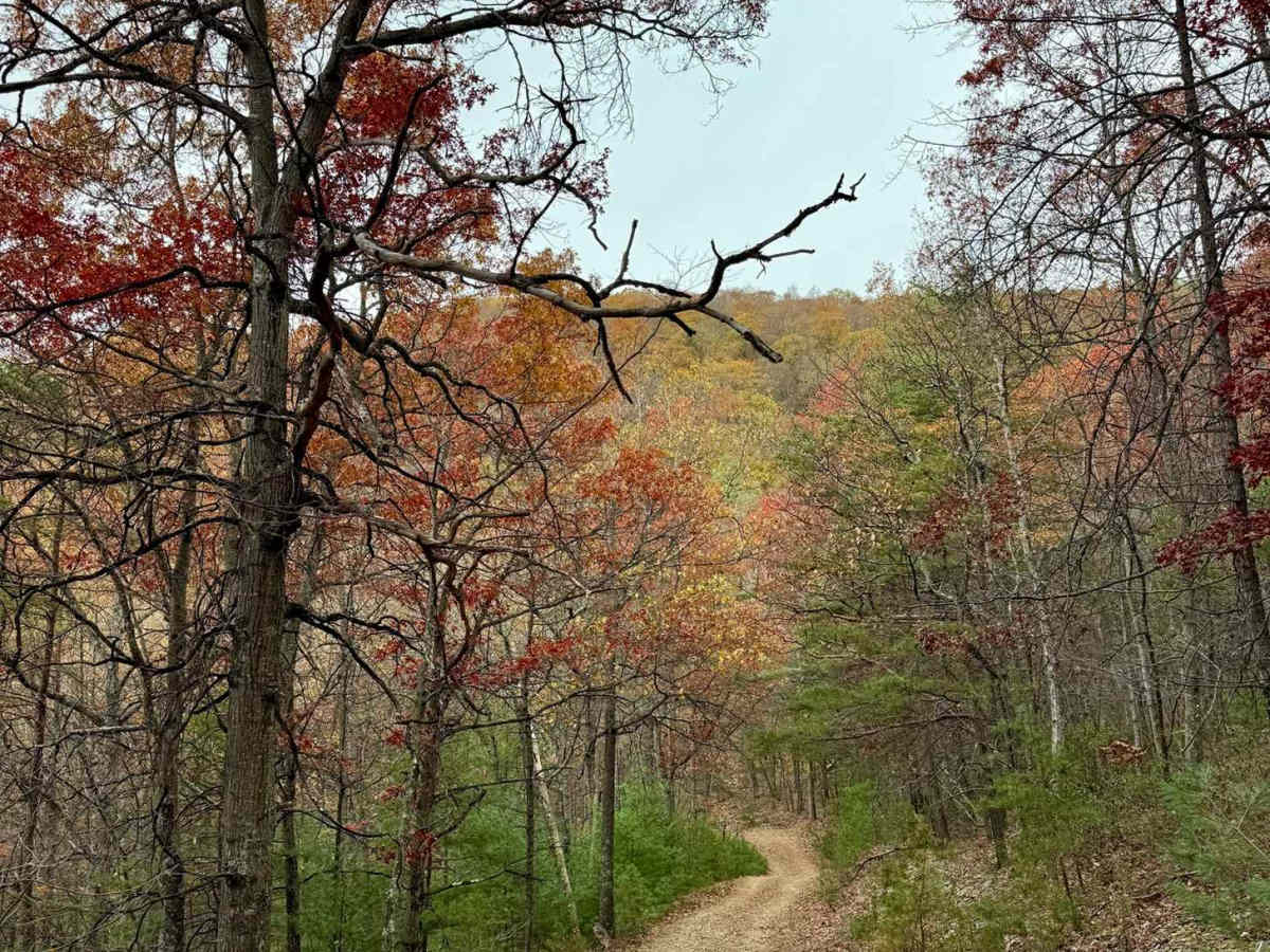 Mitchell Knob Trail photo 3