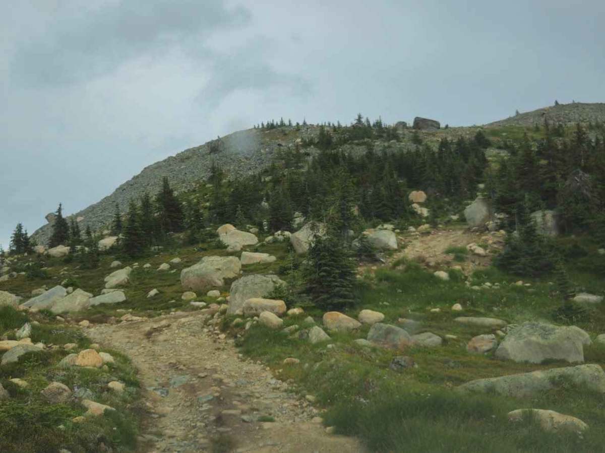 Dunn Mountain #4 photo 4