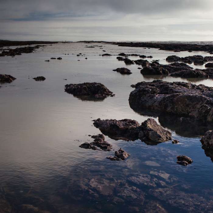 Near Duxbury Reef
