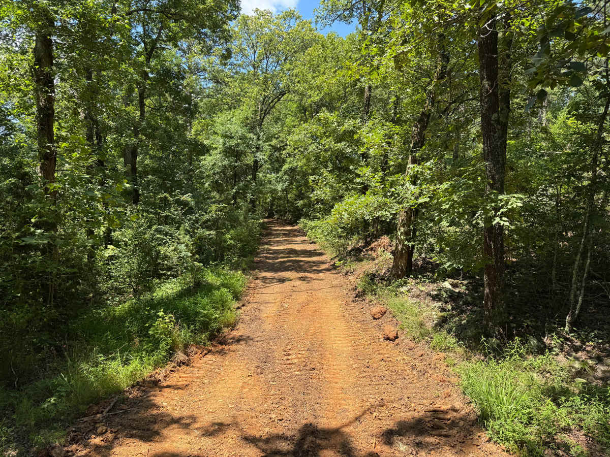 Napoleon knob photo 4