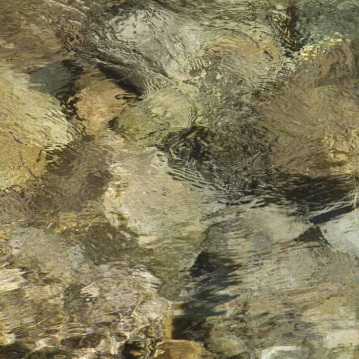 Near Alpine Lake + Baron Divide