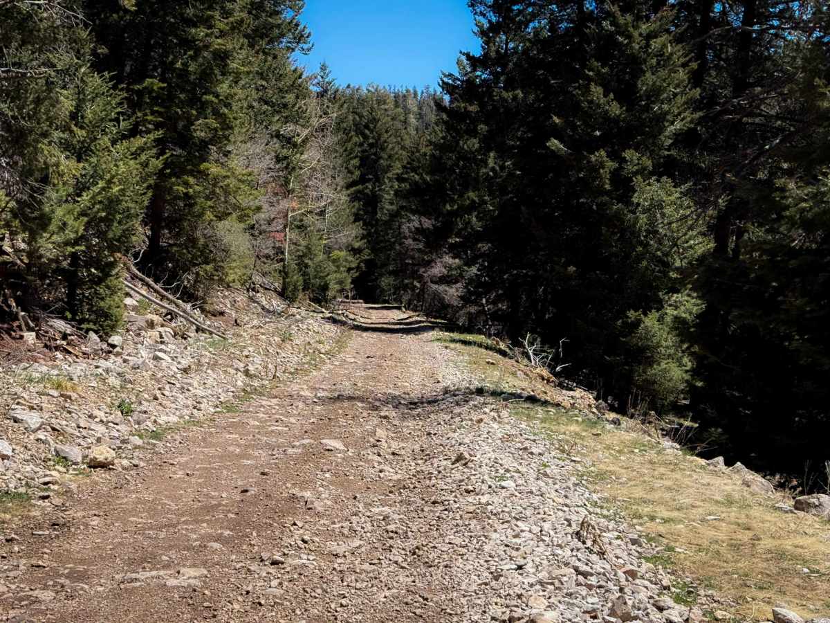 Old Sunspot Highway - FS 5009  photo 5