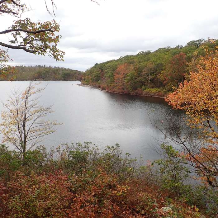 Near Sunfish Pond via Mt. Tammany Fire Road
