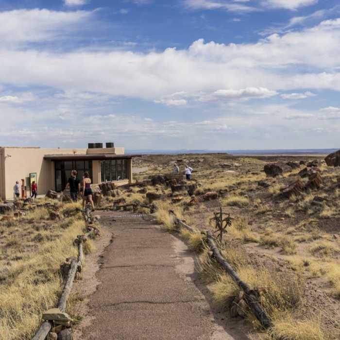 Near Giant Logs Trail Near Giant Logs Trail