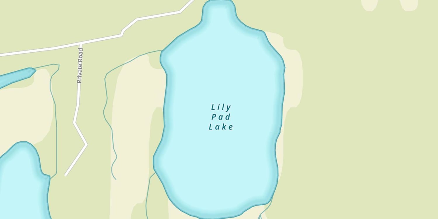 Lily Pad Lake