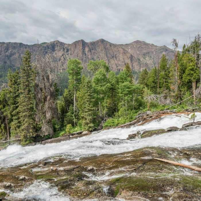 Near Crazy Creek Falls