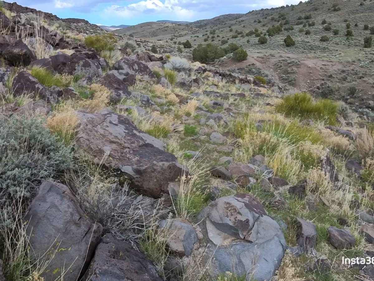 Rocky Glyph photo 3