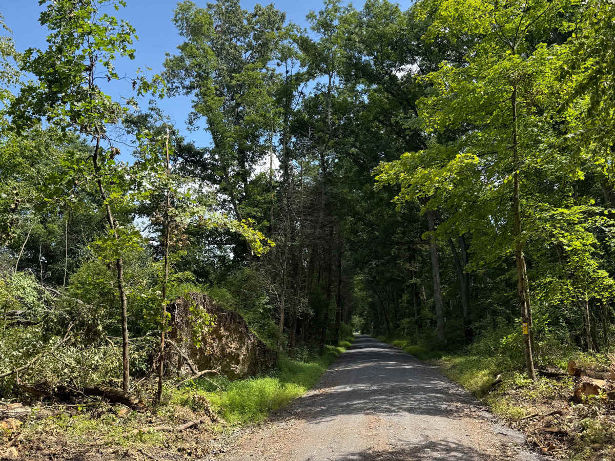 Quarry Road  photo 5
