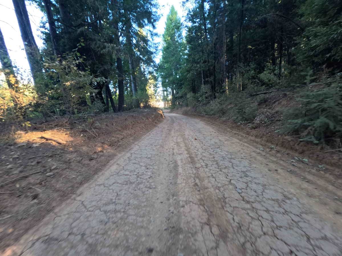 Weed Point - FS 20N14 photo 5