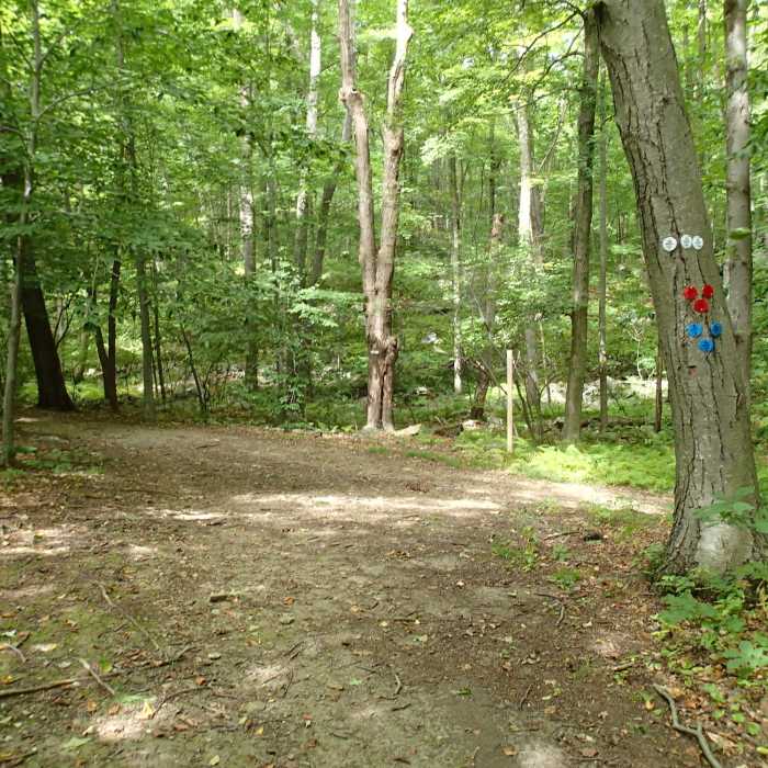 Near Roaring Brook Trail