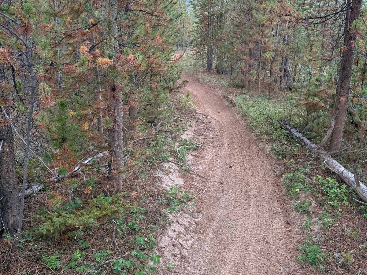 Parkview Creek Trail North photo 4
