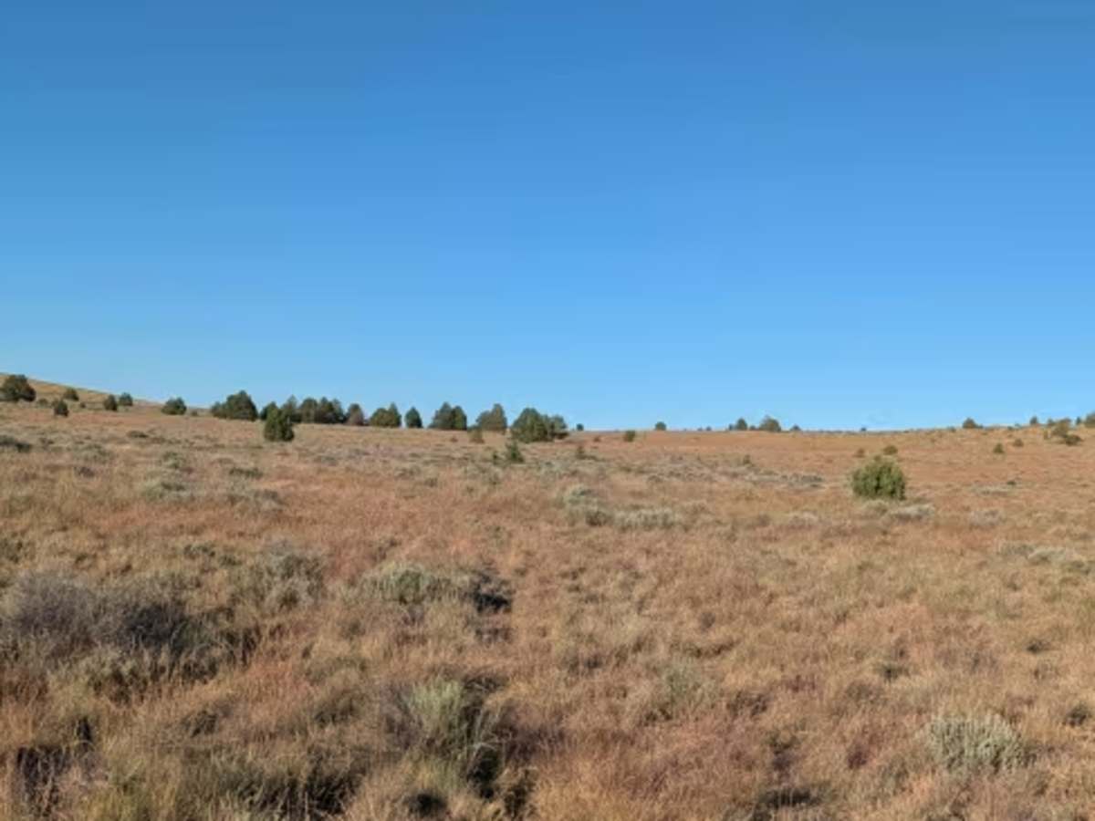 Barntop Spur Bypass photo 6