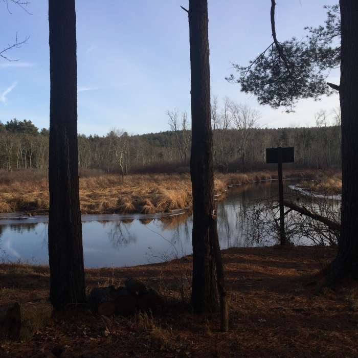 Near Grand Trunk Trail - Brimfield Section