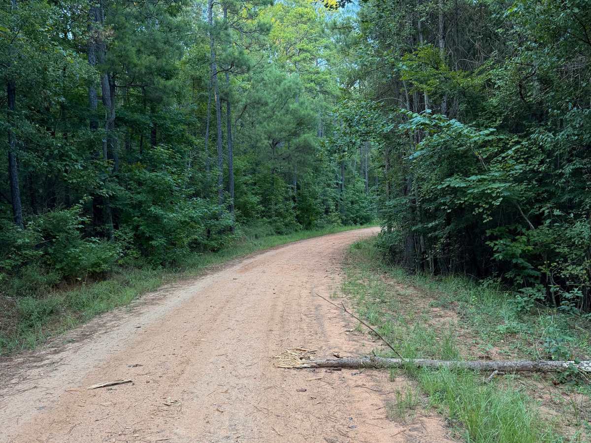 Buck Creek Road photo 4