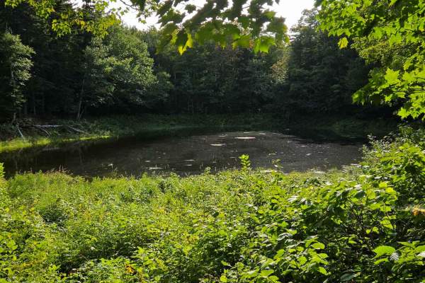 Two Lakes