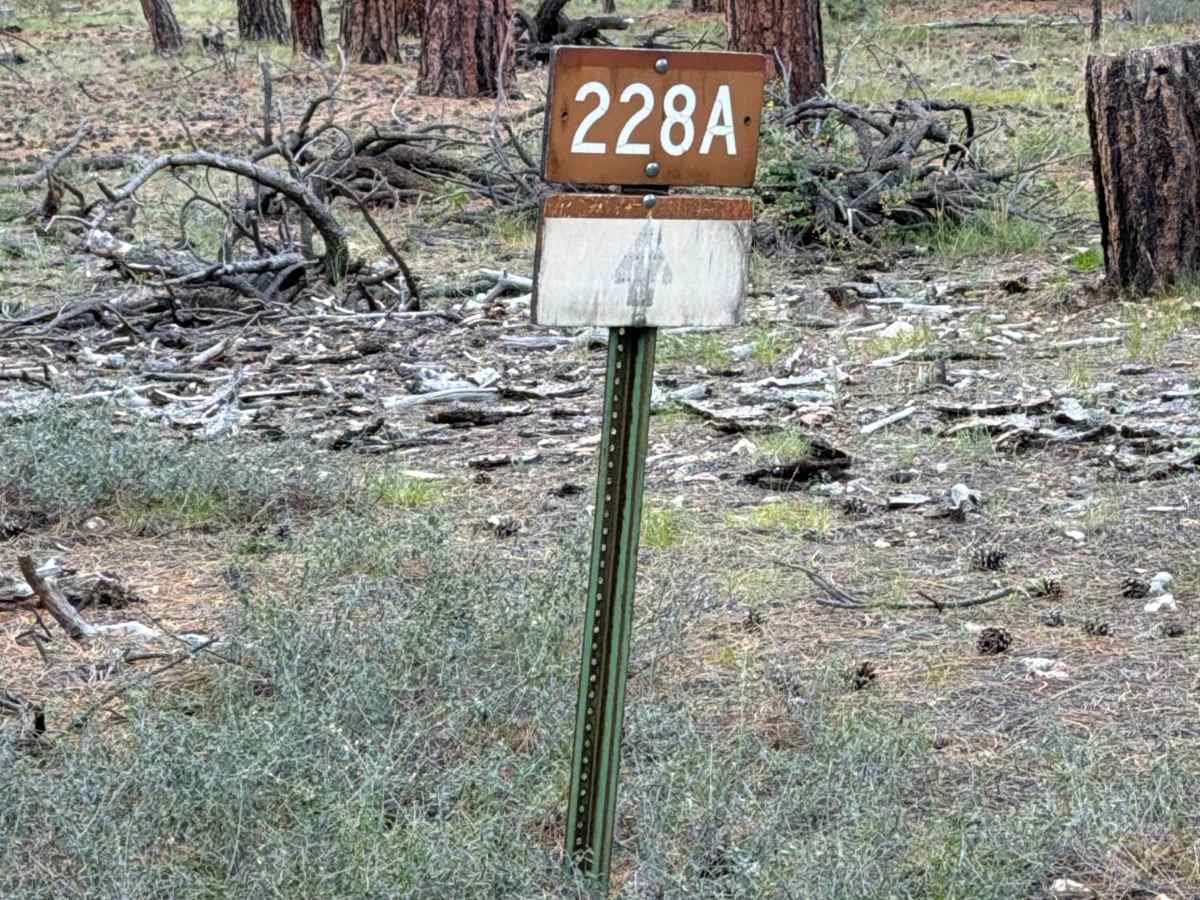 FS 228A trail photo
