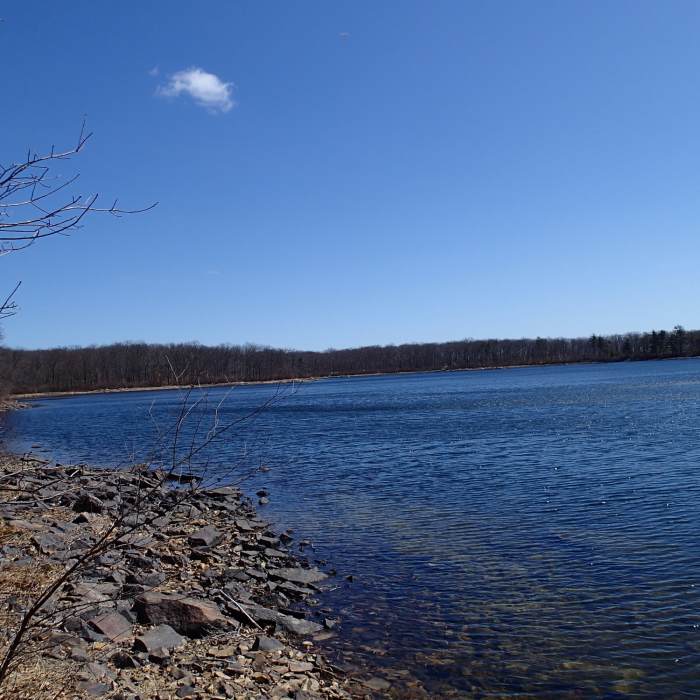 Rutherford Lake Near Appalachian - Iris Trail Loop