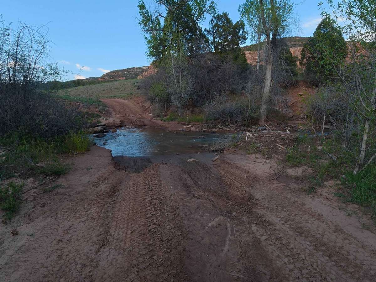 Love Mesa Road photo 2