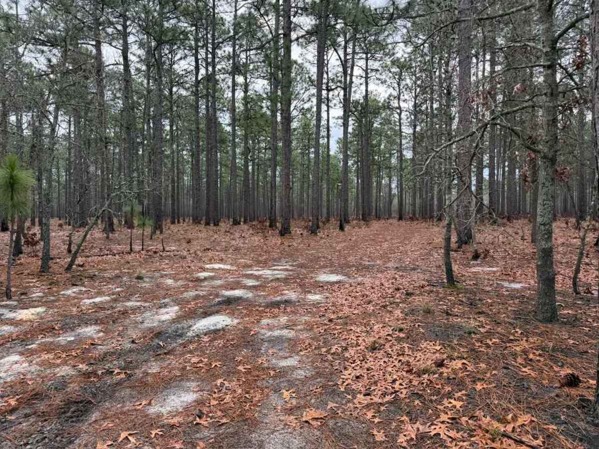 Carpenter Road photo 5