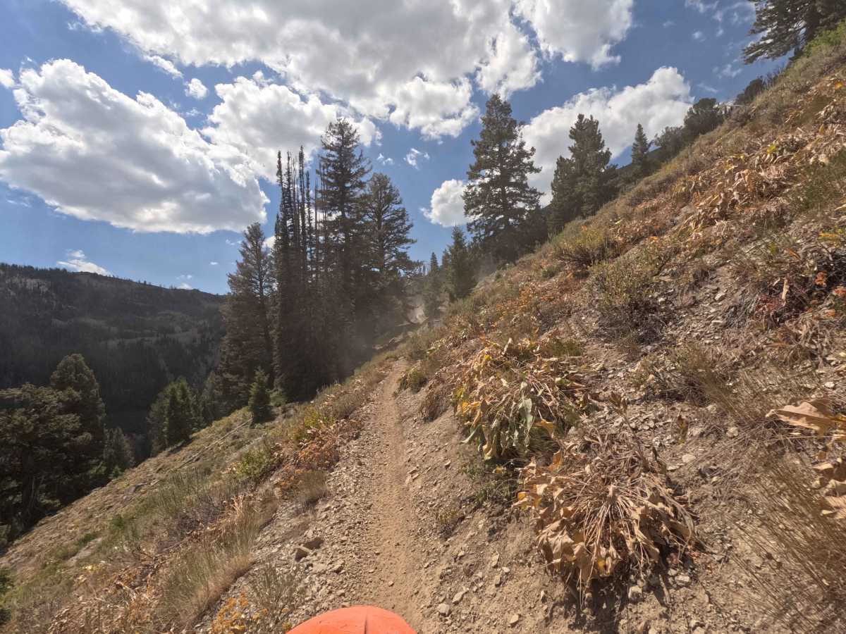 Paradise Creek - FS 7070 photo 5