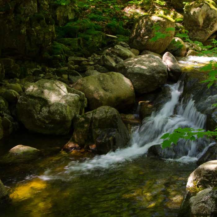 Near Gill Brook Trail