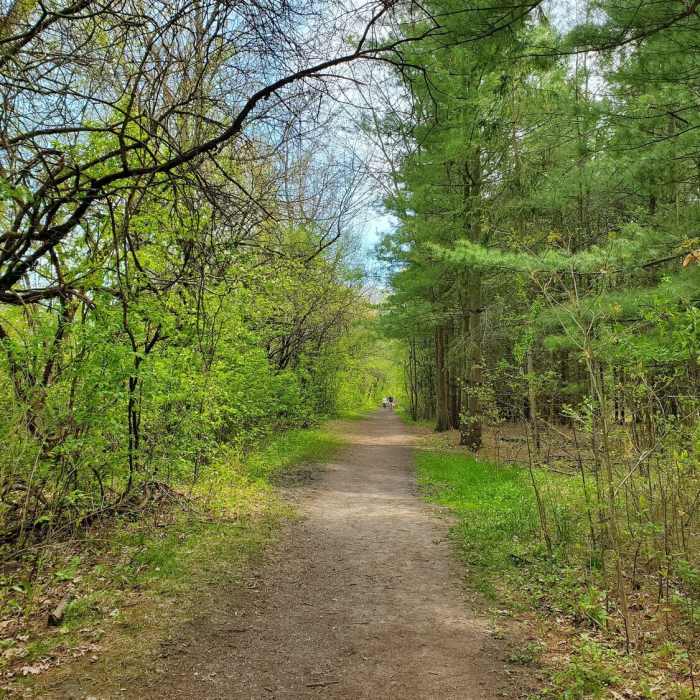 Marshlands Trail Near Rideau Trail: Marshlands Conservation Area Segment