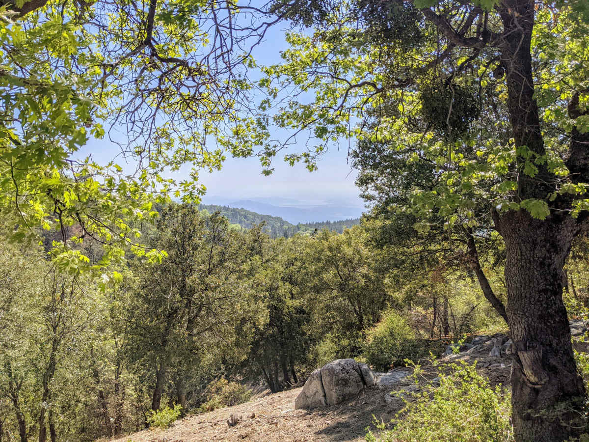 San Jacinto Ridge Trail (FS 5S09) photo 2