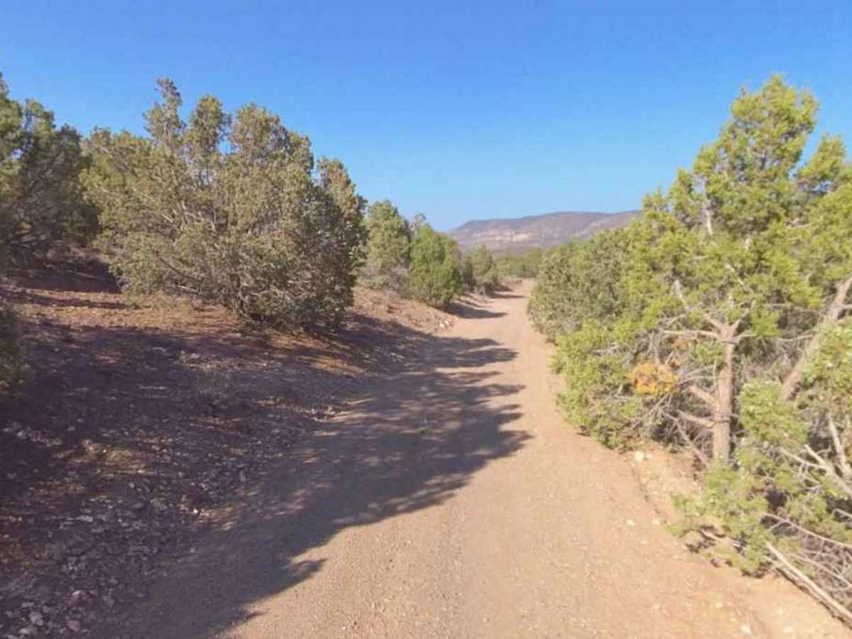 Bell Rock - PST40 trail photo