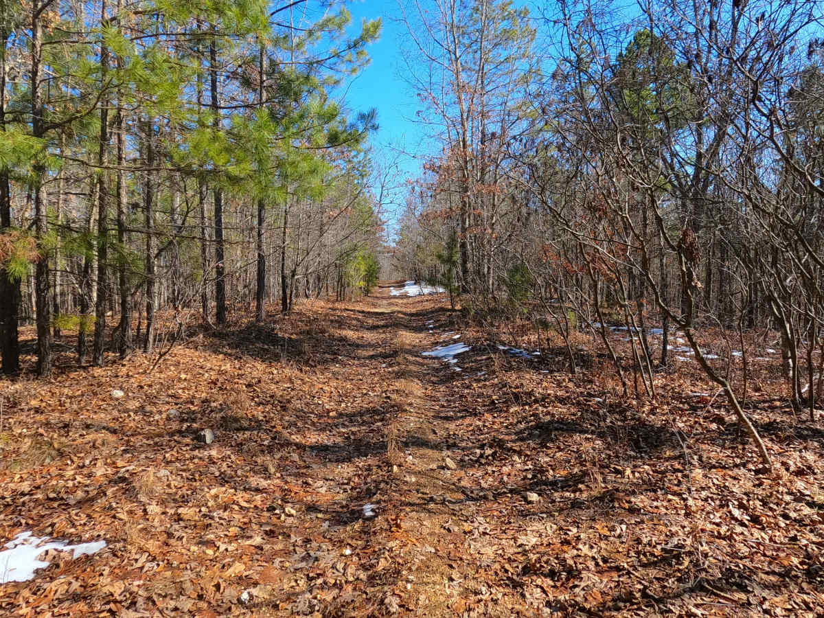 Buzzard Ridge Spur A - FS 2677A photo 3