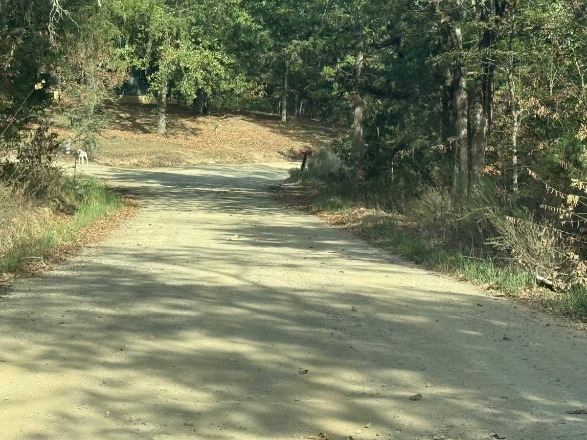 Polk Road 301 photo 2