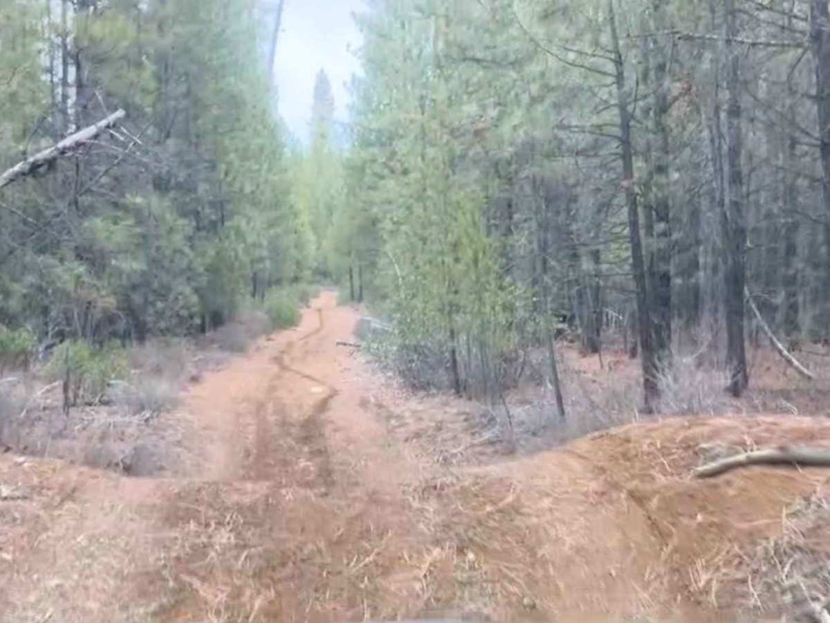 Sitkum Butte trail photo