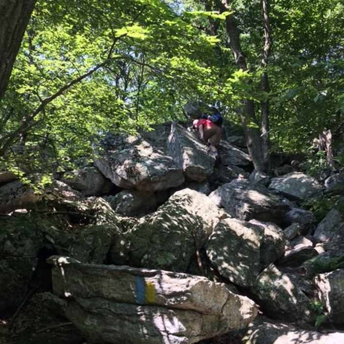 This is on the Golden Eagle/Skyline Trail. This is the first spot on the upper east side about a half mile after you get on the Skyline Trail that includes big boulders you must scramble over. Near Hawk Mountain Sanctuary Loop