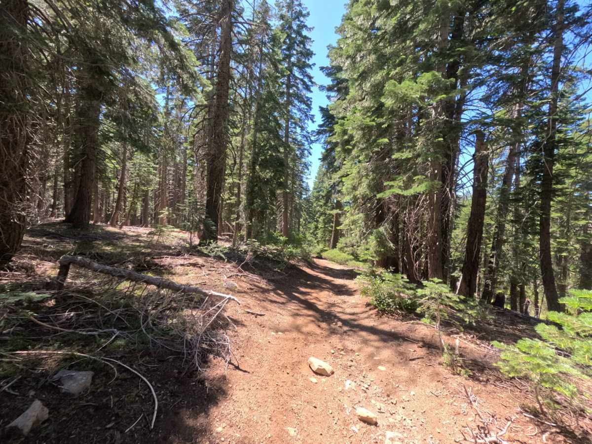 Claycroft Ridge Off-Highway Vehicle Trail - Lower -  FS 11E18 trail photo