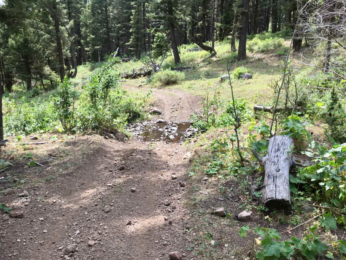 Lone Pine Pass ATV Trail photo 5