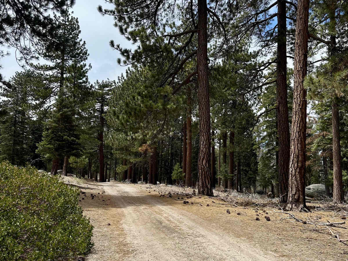 Kidd Creek - FS 2N86 trail photo