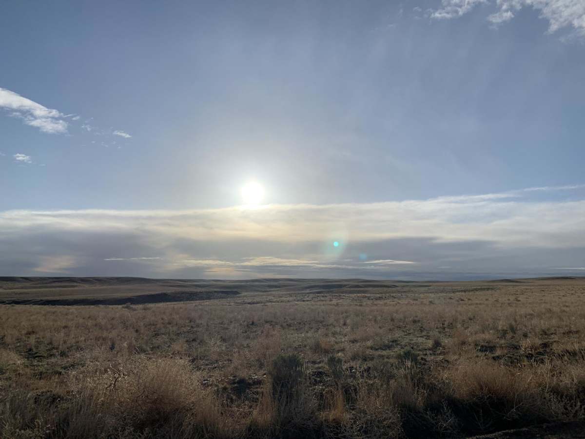 Wickahoney Stage Stop from Bruneau photo 3
