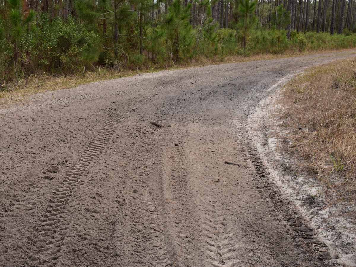 FR 25045 trail photo
