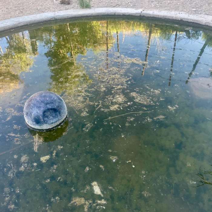 Near Continental Divide Trail: New Mexico Section 5