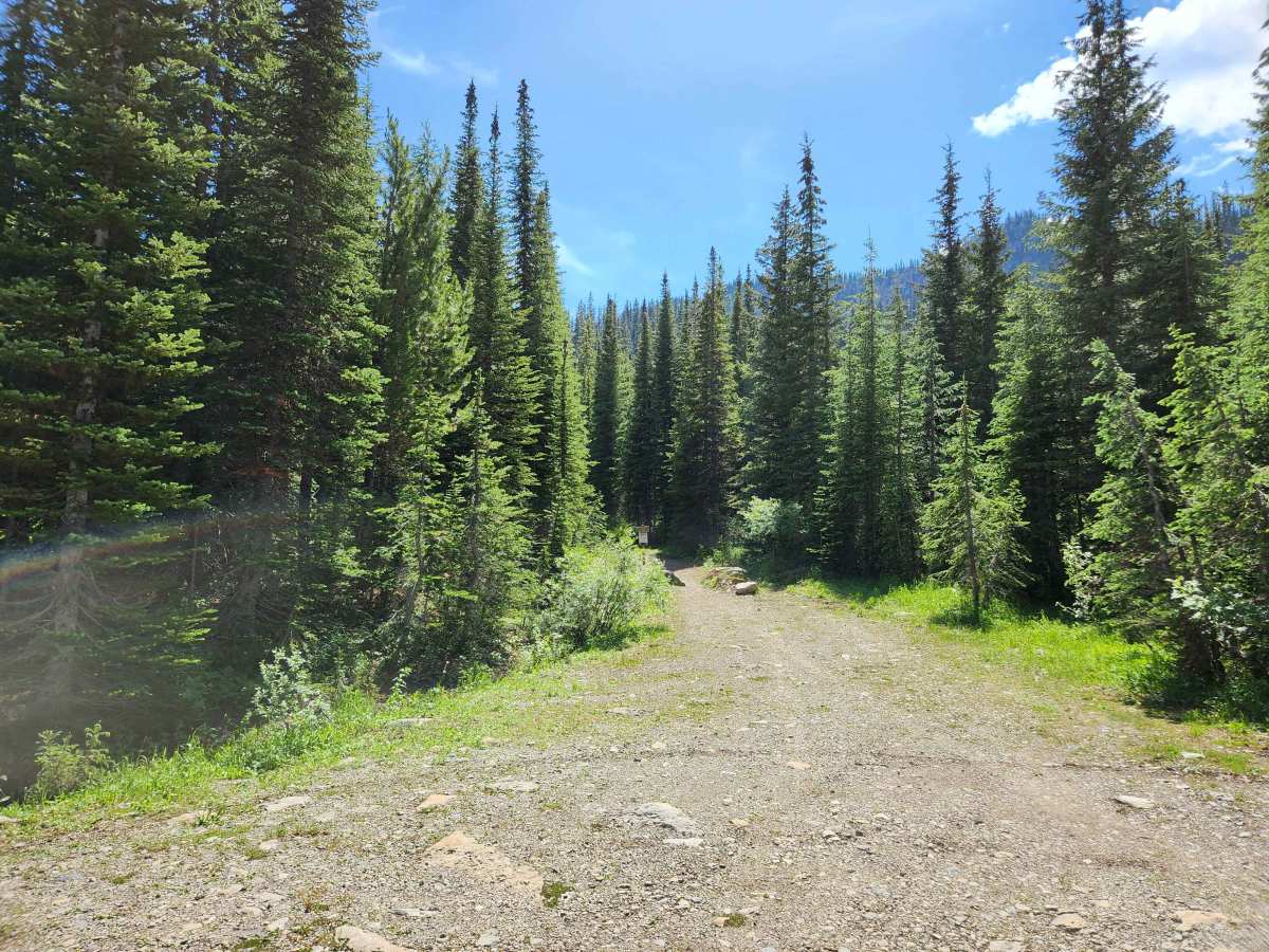 Bluebird Creek photo 6
