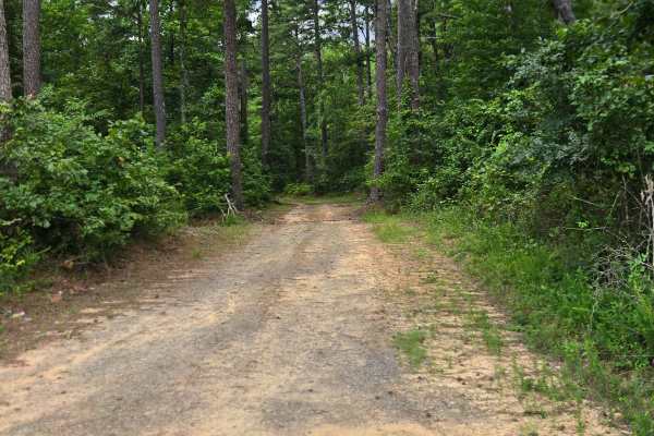 Dee Linn Jones Road