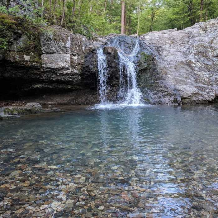 Near Dam Mountain Trail