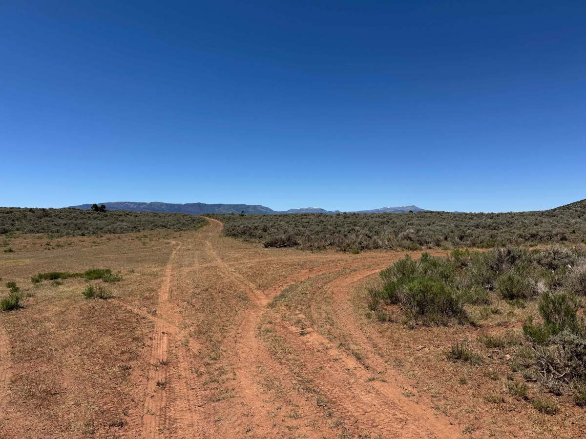 BLM 8487 photo 4