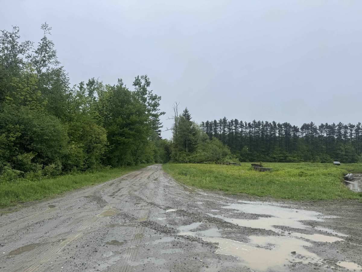 Lenox Whitney Place Road photo 4