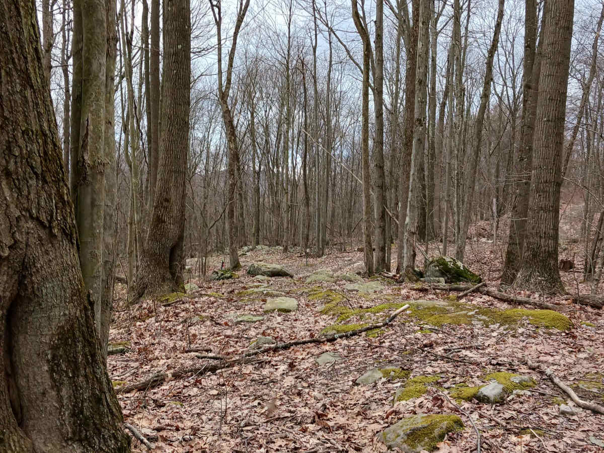 OHV 60 - Rock Run Recreation Area trail photo