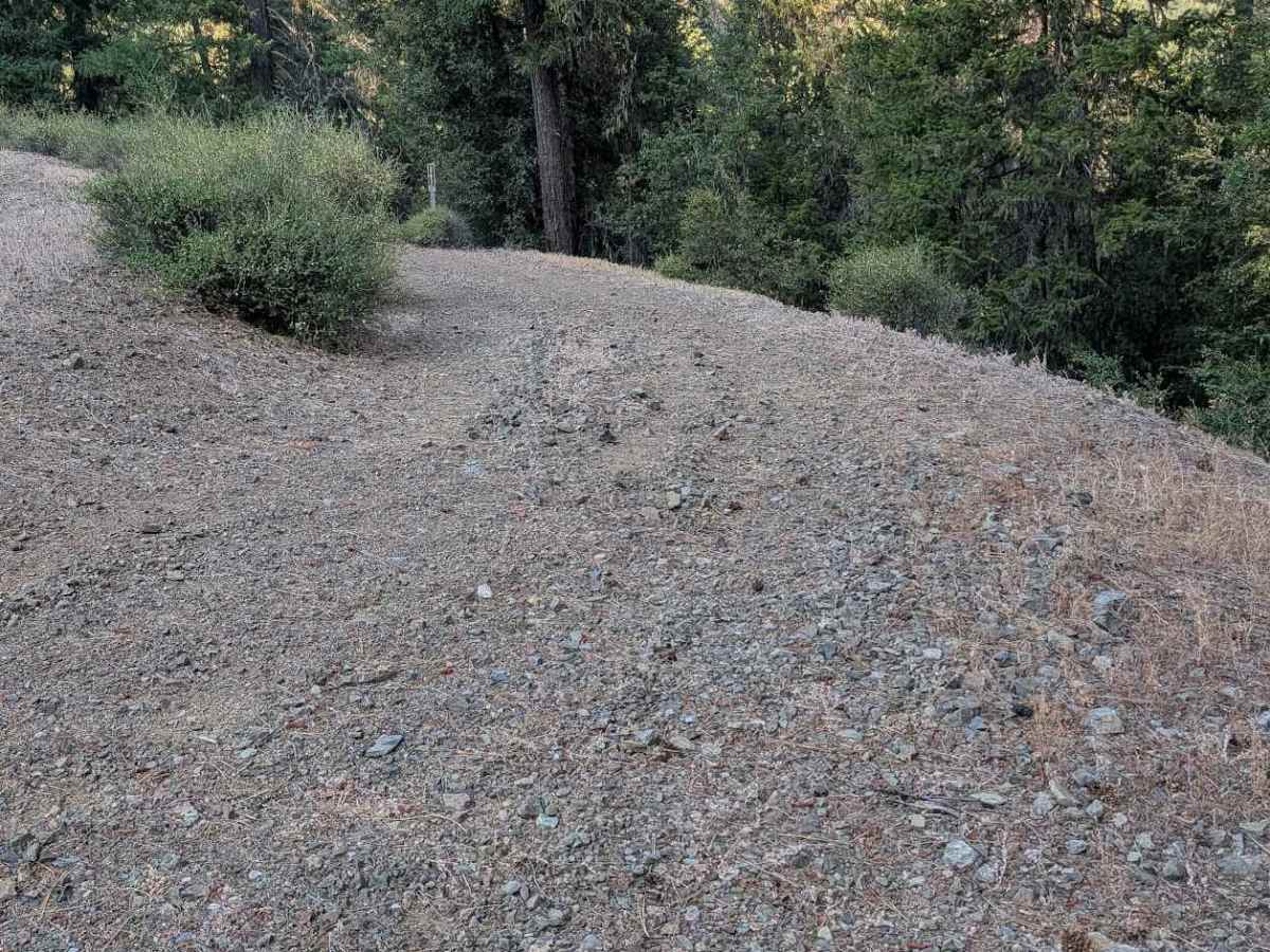 Creek Road - FS 29N57  photo 2