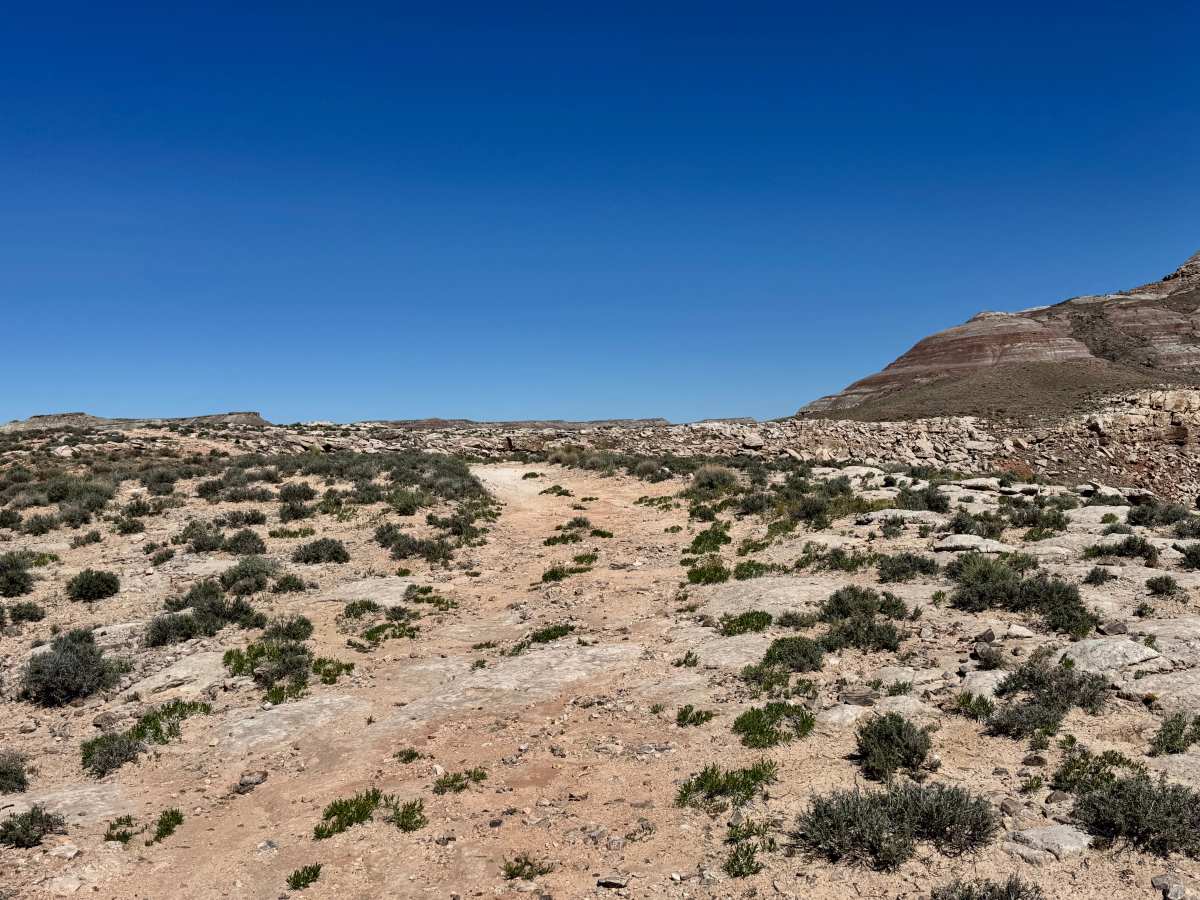 Molly Hogan Spur trail photo